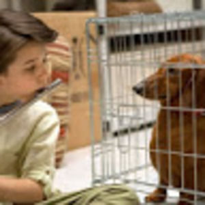 Meet your Posher, Kinsey